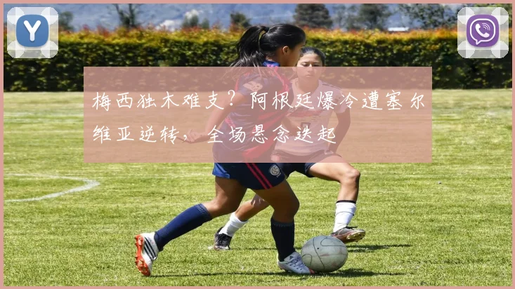 开云APP